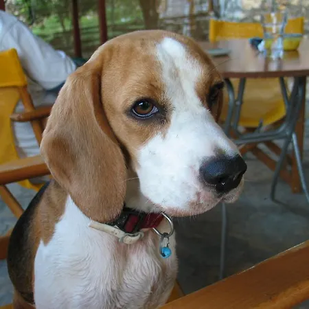 Archontiko Maisonettes Hotel 4*